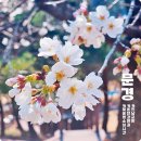 온천강변길2 이미지