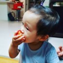 은선목장 이미지