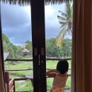 태연8289 풀 리조트 | 7일 대가족여행 Day5 마라 리버 사파리 롯지 더 트랜스 리조트 발리 포테이토 헤드 비치 클럽 나시고랭맛집