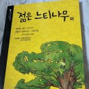 젊은느티나무 | 젊은 느티나무 – 강신재, 금기를 껴안은 성장의 문학