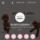 대전펫택시 이미지