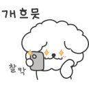 보리에 베이커리 앤 델리 이미지