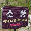 소풍펜션 이미지