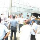 경북농약종묘사 이미지