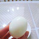 계림농장 | 계림농장 짜지않고 부드러운 반숙란 10구 후기(가격,칼로리,계란 효능,맛,특징)
