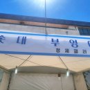 [경기도-이천] 봄 축제 '제 40회 2026년 이천도자기마을축제' 푸드존 체험존 판매존 현장방문 후기!!