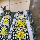 녹동농협장례식장 네이버블로그