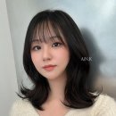 하모니빌드