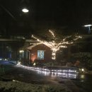 포텐당구장 | 숙박추천 - 남쪽(서귀포시)] 제주도 숙박은 &#39;티아일랜드&#39;에서!! 완전 리얼 상세 후기!! 첫째날 여행지 (8)