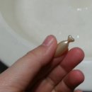 (주)휴셀 | 닥터글로덤타블엑스 링클톡스크림, 마스크팩 2주가 좀 넘는 시간 후기: 피부요철이 줄어들다.