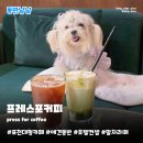 레트로커피아이스브라운휴게점 | 포천애견동반카페 프레스포커피 | 호텔 라운지 컨셉 말차라떼 예쁜 대형 여행 맛집