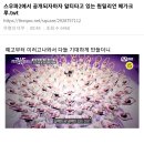 스우파2에서 공개되자마자 알티타고 있는 원밀리언 메가크루.twt 이미지