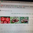 2월 22일 성 베드로 사도좌 축일에 알아보는 ‘사도좌’의 의미 이미지