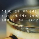 하삼동부산 이미지