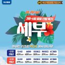 [세부] 부산-세부 직항 3월~6일 요금 일정 나왔습니다👍 선발권 특가까지 확인해보세요!! 이미지