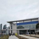 화이트러브
