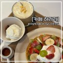 카페;하라리