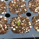 미니농장 이미지