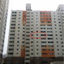 하단동1176 이미지