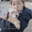 무지개농장 2 이미지