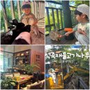 파주 아이와 함께 가볼 만한 곳 헤이리마을 대형 카페 석죽재물고기나무