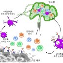 TH메디컬 이미지