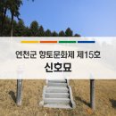 신호 묘 이미지