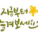 에이블리살롱 이미지