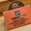 의료법인 안아픈마을 | [서울 고양이 카페] 성수 길고양이마을 유기묘 구조묘 사회화와 무료입양까지 돕는 착한 이색데이트 공간