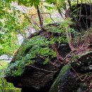 [정기산행] 제363차 경남하동 내삼신봉(1,355m) 후기 이미지