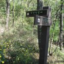 황청포구로 이미지