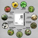 닥터스케어 이미지