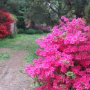 신봉농장 이미지