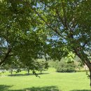 6월의 목장 | 용인 | 동화같은 목장 체험 농도원 알찬 후기 예약 준비물 꿀팁까지 아이랑 꼭 가볼 만한 곳 추천