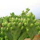 성이시돌요양원 이미지