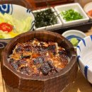 진가에프앤비역삼지점 | 강남역 역삼역 장어덮밥 맛집 양산도 역삼 히츠마부시 진가를 맛보는 곳