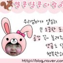 피자알볼로호평 이미지
