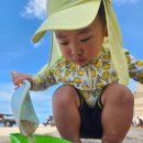 대진바다마트