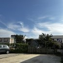 후드 로스터스 이미지