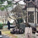 손커피연구소 이미지