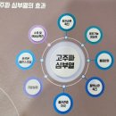 365힘찬한의원 | 부산서구 뱃살빼기 <에스테틱 힐링수> 빼독테라피, 전신순환해독다이어트 후기