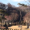 분당-162 이미지