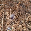 풍산초병설유치원 이미지