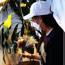 디자인모 쇼핑하우