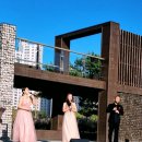 배곧생명공원 이미지