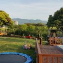 나무집 펜션 이미지