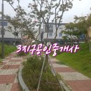 남산초 앞 이미지