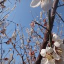 고흥군금산면신평보건진료소 | 적대봉