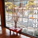 구미 감성 한옥 카페 화담 정원이 있는 여유로운 공간 모임 후기
