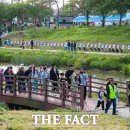 당진3동 이팝나무 이미지